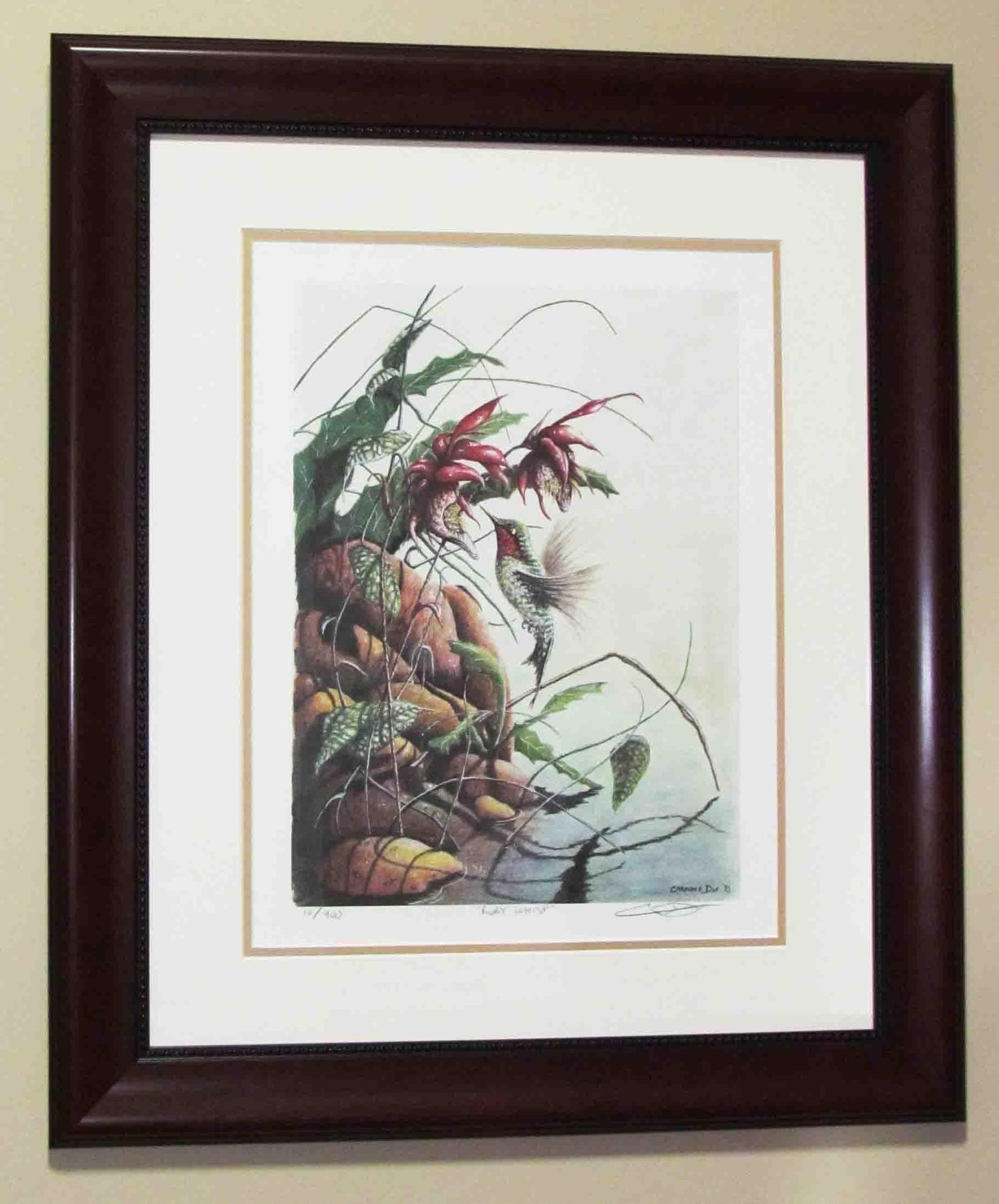 Framed Ruby Whisp watercolour painting by artist Carm Dix