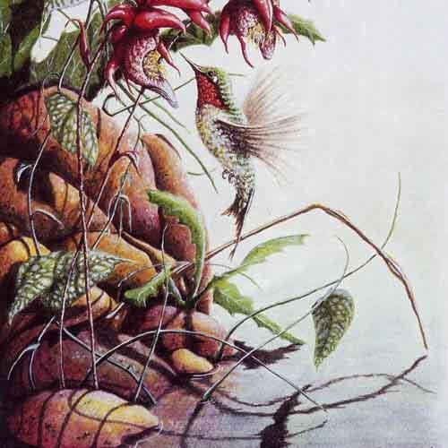 Hummingbird painting by Carm Dix