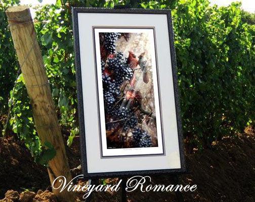 Vineyard Romance framed in the Vineyard