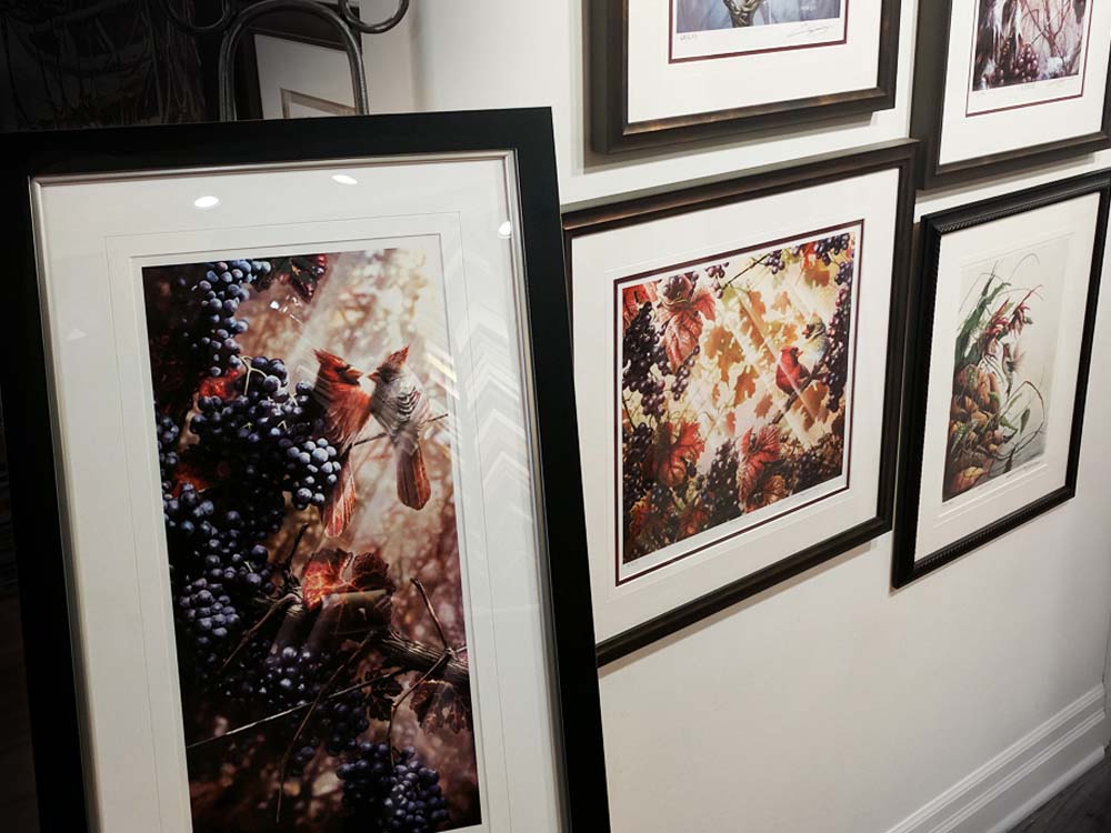 Framed wall art displayed on a white gallery wall, with one large framed print leaning in the foreground showing a cardinal among dark purple grapes, and several other framed botanical and nature prints partially visible above and to the right.