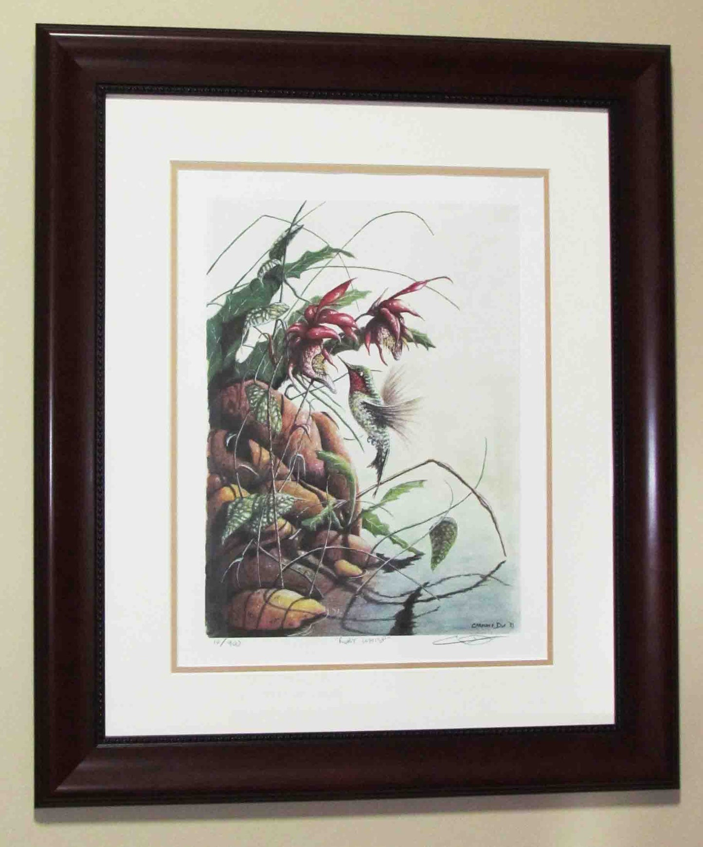 
                  
                    Framed Ruby Whisp watercolour painting by artist Carm Dix
                  
                