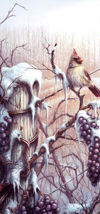 A female cardinal sits majestically above the frozen grapes that will soon make icewine in this art print by artist Carm Dix