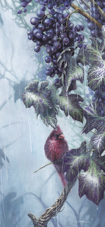 Feel the sadness in this cardinal under the grapes trying to avoid the rain in this A Drop of Merlot art print by artist Carm Dix