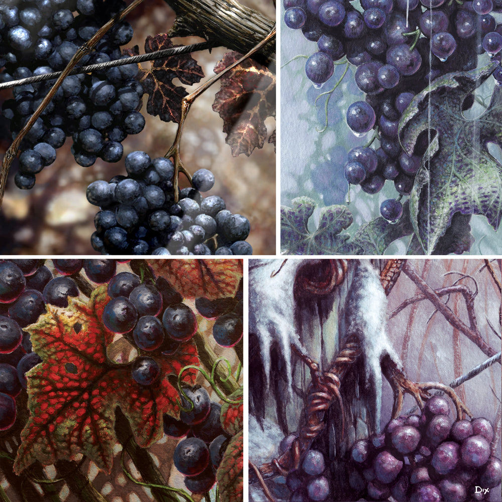 Close up Vineyard Scenes are 16" x16" square canvas art prints by artist Carm Dix