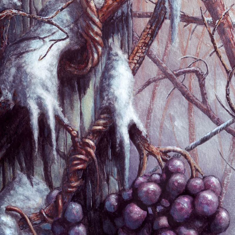 Icewine closeup