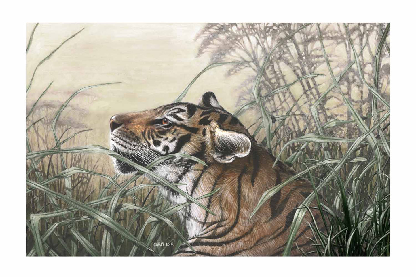 Tiger art print by artist Carm Dix
