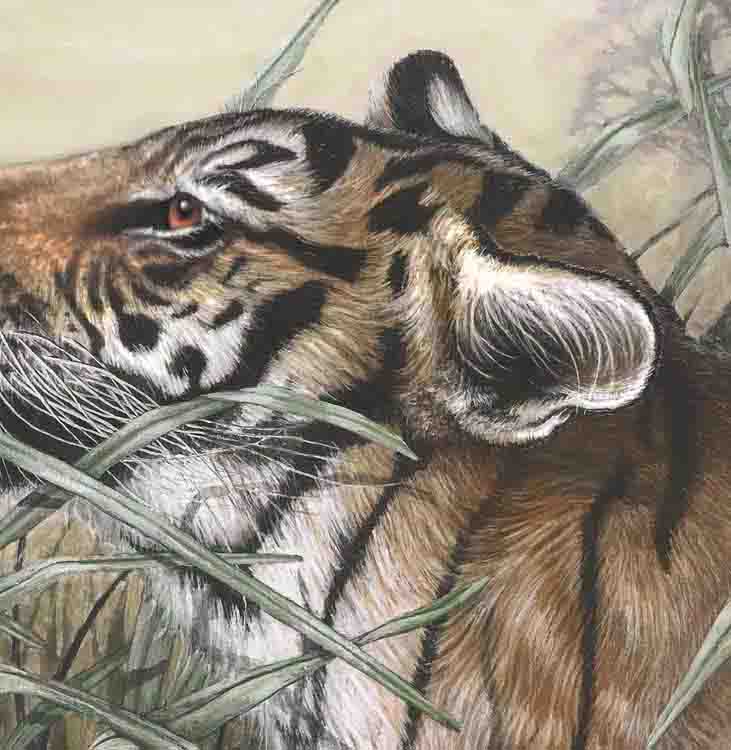 
                  
                    a close up of the painting "Majestic" (Tiger)
                  
                