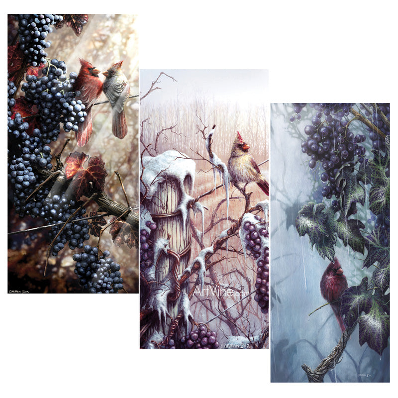 3 bundle Limited Editions