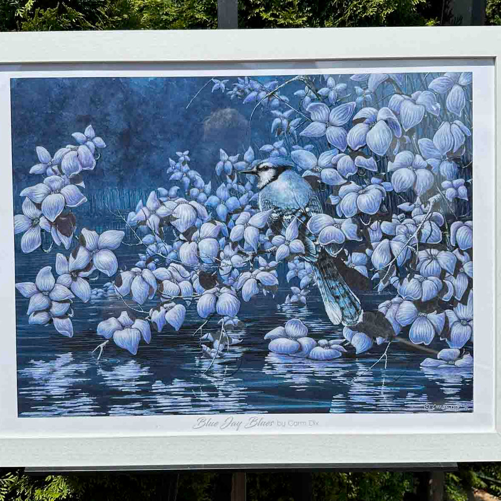 
                      
                        happy buyer shows framed art print of Blue Jay Blues
                      
                    